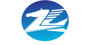 新疆飛馬智旅科技有限責(zé)任公司