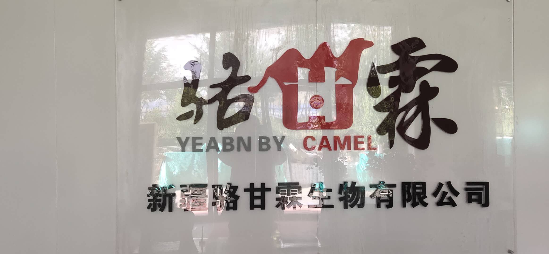新疆駱甘霖生物有限公司