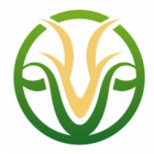新疆上品美羊科技有限公司