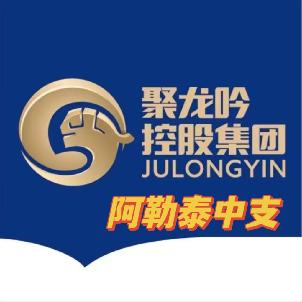 阿勒泰聚龍吟數(shù)字科技有限公司