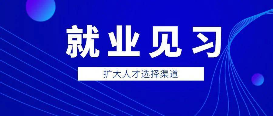 就業(yè)見習(xí)線上申請(qǐng)流程